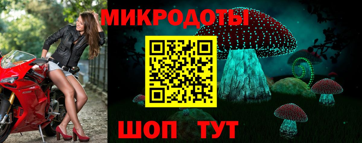 Галлюциногенные грибы Psilocybe  Вход с VPN  Лыткарино 